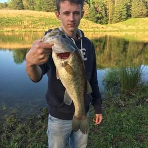 Meet your Posher, Levi